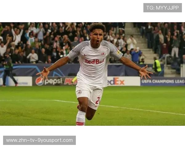 “埃尔斯·霍斯特出色表现，成为南非队的支柱”